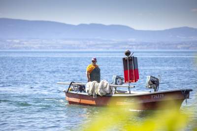 Du Léman à l’Océan · Poissonnerie Evian les Bains (74)