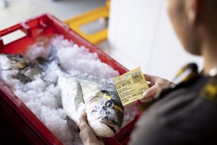 Du Léman à l’Océan · Poissonnerie Evian les Bains (74)