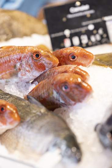 Poissonnerie Haute Savoie · Du Léman à l’Océan · Engagements