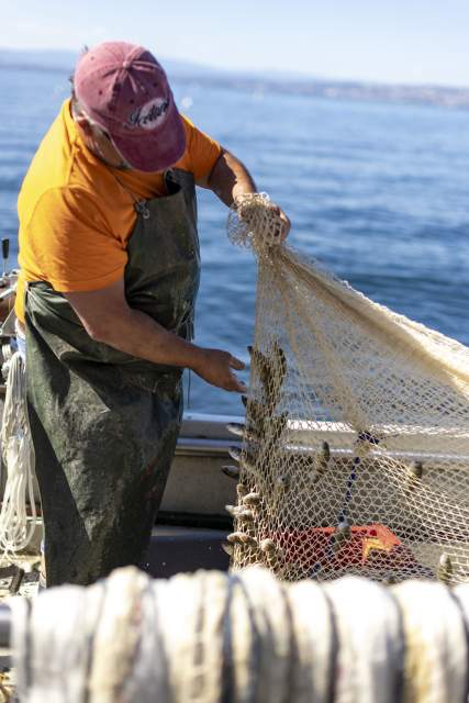 Poissonnerie Du Léman à l’Océan à Maxilly-sur-Léman 