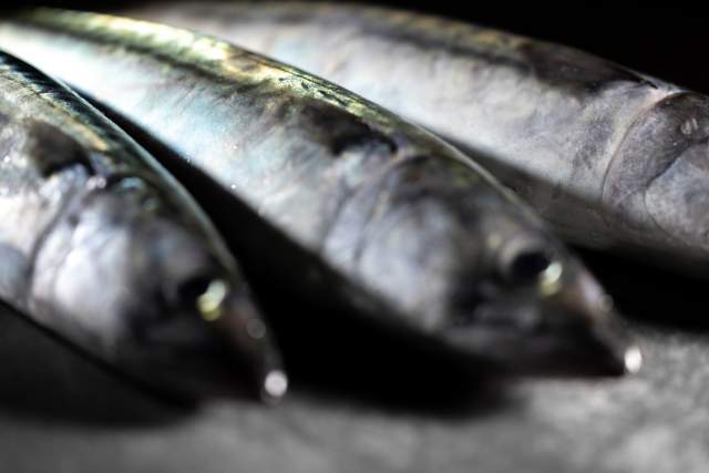 Poissonnerie Du Léman à l’Océan à Maxilly-sur-Léman 