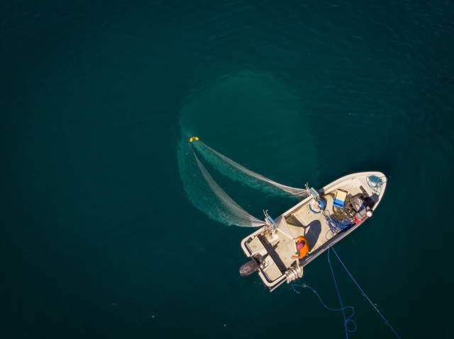 Poissonnerie Du Léman à l’Océan à Maxilly-sur-Léman 