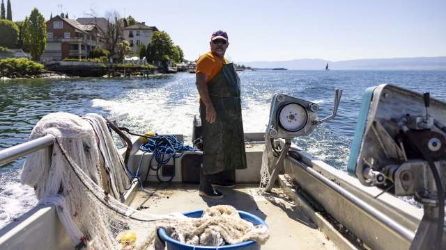 Poissonnerie Du Léman à l’Océan à Maxilly-sur-Léman 