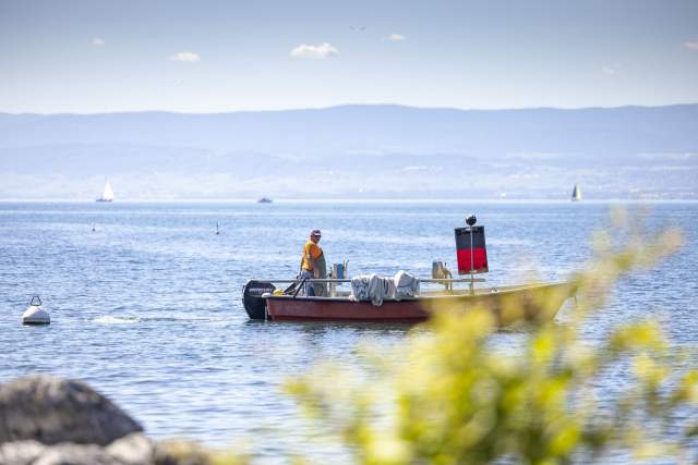 Poissonnerie Du Léman à l’Océan à Maxilly-sur-Léman 