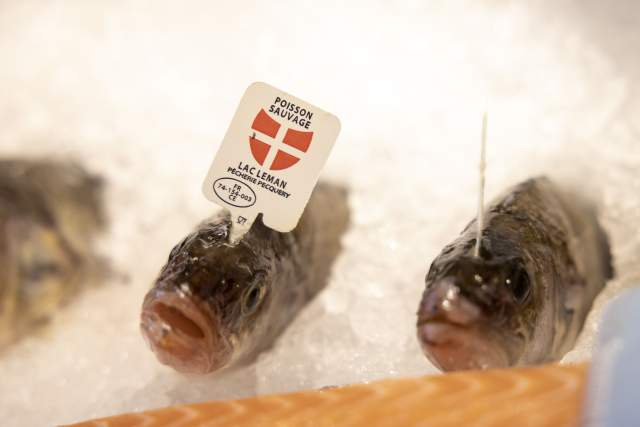 Poissonnerie Du Léman à l’Océan à Maxilly-sur-Léman 